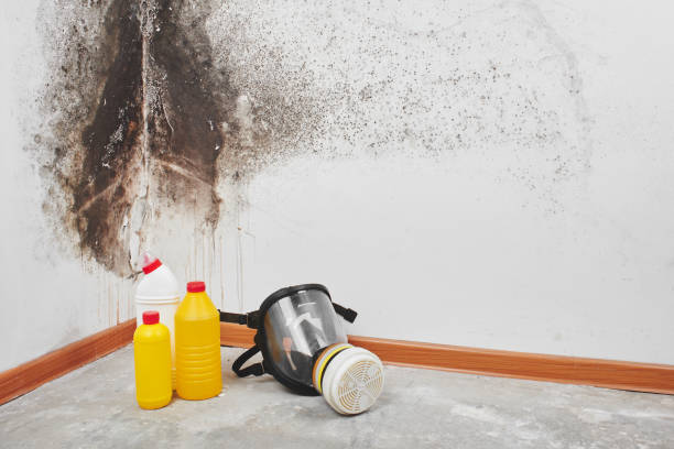 Crawl Space Mold Removal in Ainaloa, HI