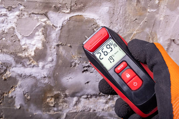 Mold Testing and Removal in Ainaloa, HI