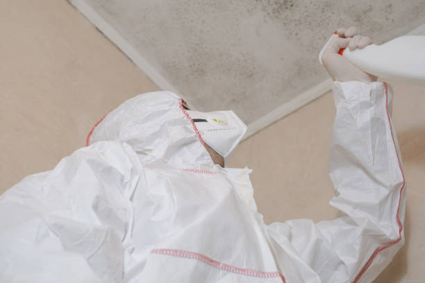 Best Commercial Mold Removal  in Ainaloa, HI