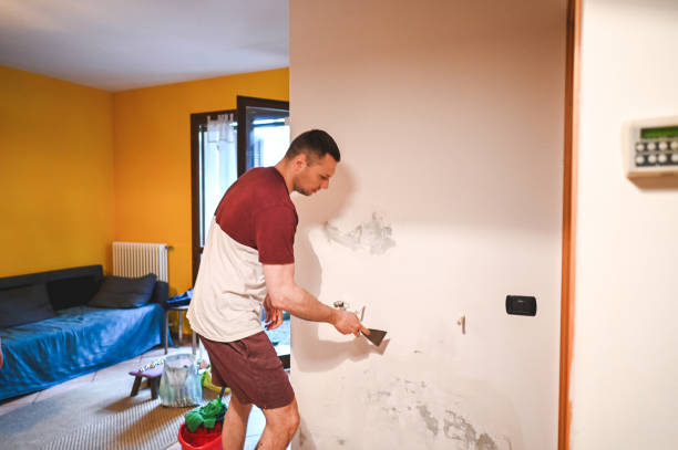 Best Mold Damage Repair  in Ainaloa, HI